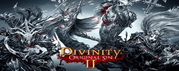 Divinity: Original Sin II download